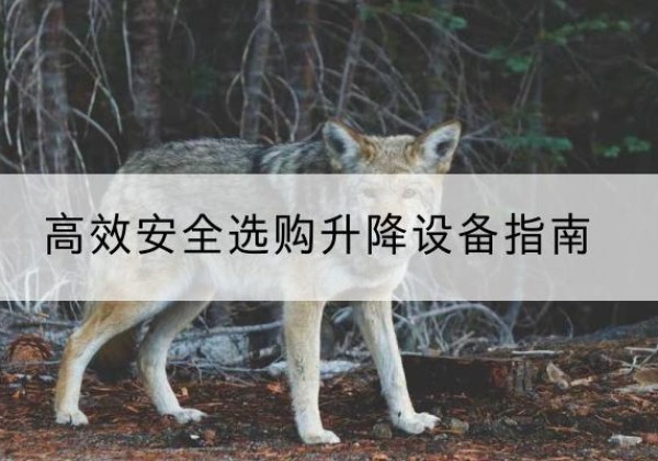仓山升降货梯厂家推荐-*安全选购升降设备指南
