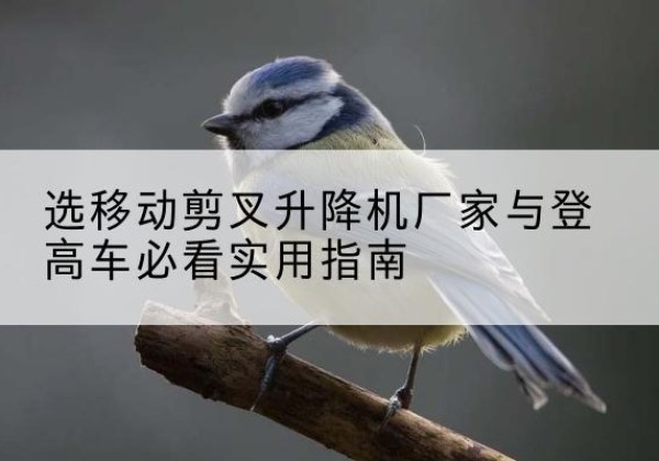 仓山电动升降机厂家-选移动剪叉升降机厂家与登高车必看实用指南